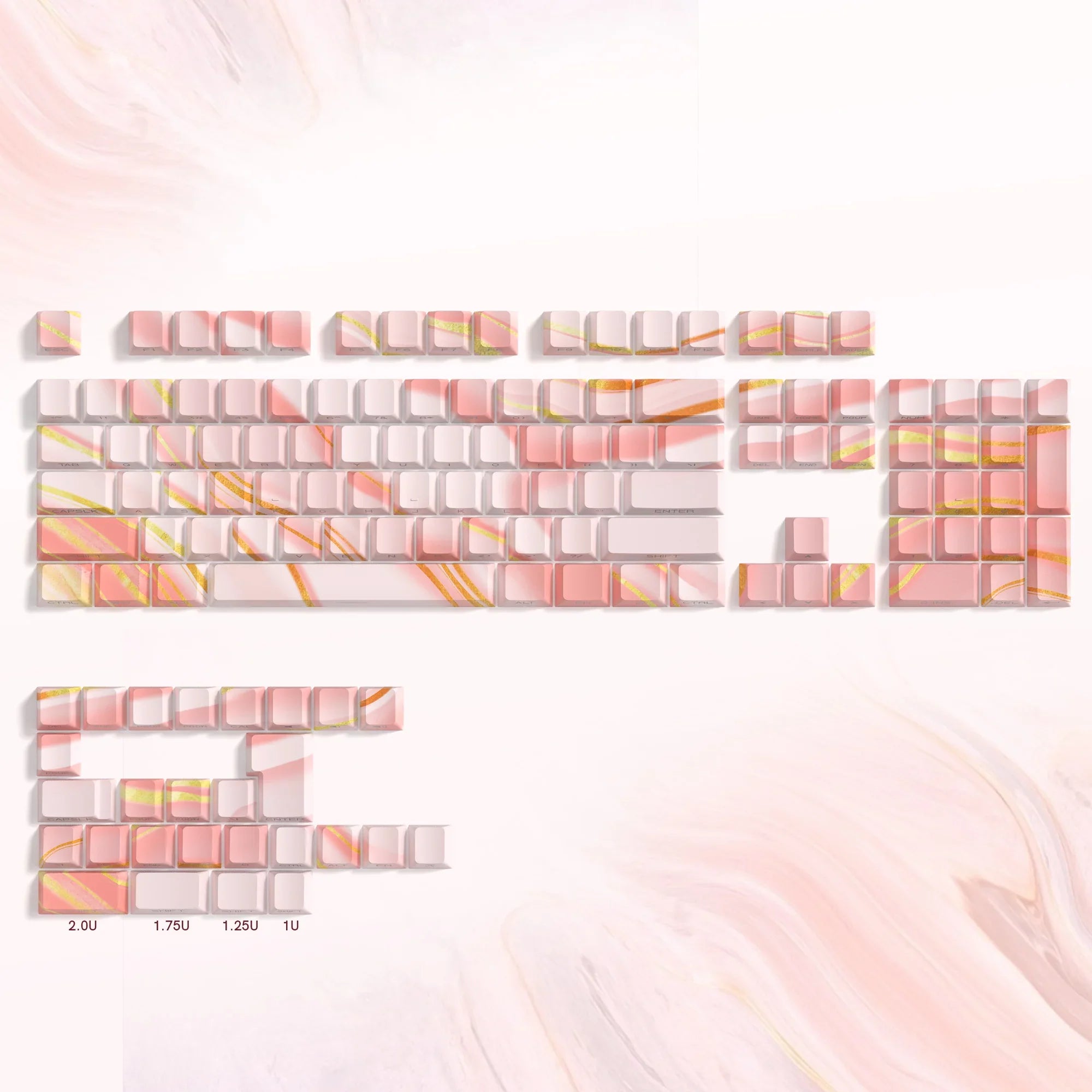 41680549249091